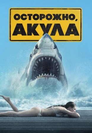 Осторожно, акулы (2024) Осторожно, акулы (2024)